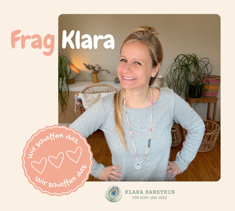 mockup-fragklara-ohnetext